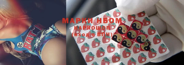 твердый Новозыбков
