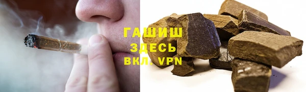 твердый Новозыбков