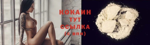 твердый Новозыбков