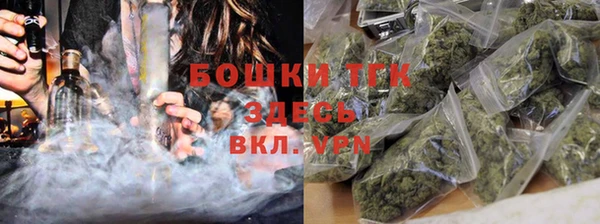 твердый Новозыбков